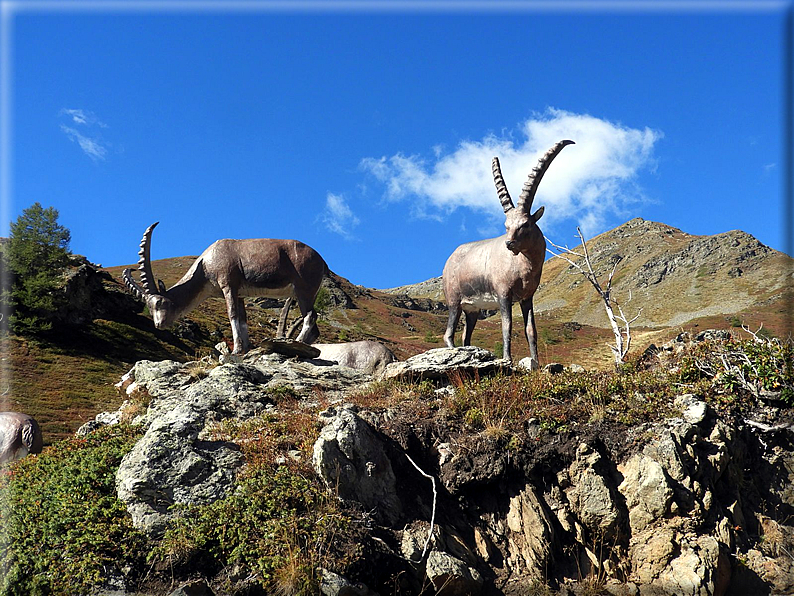 foto Monte Vertosan